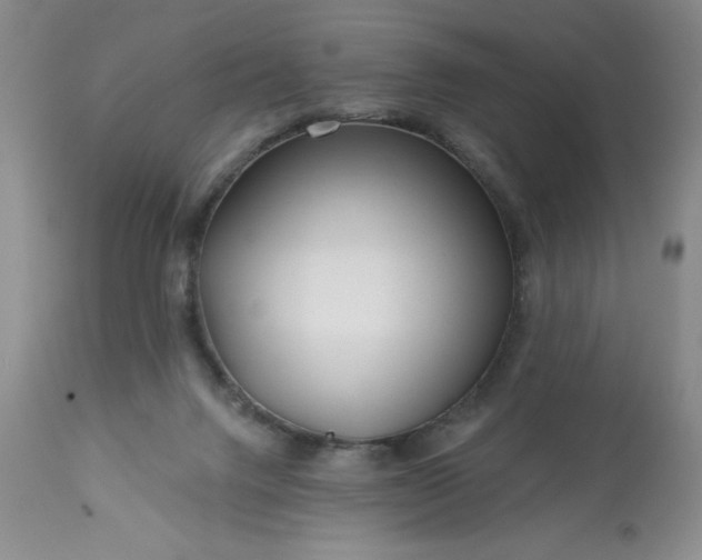 X0000113610072200910021814