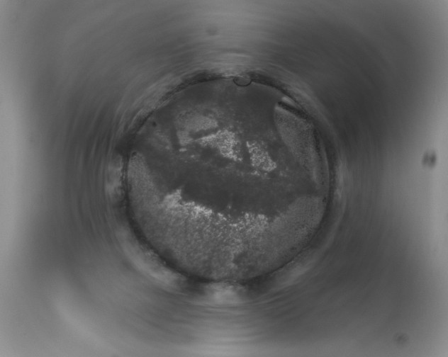 X0000113610073200910021814