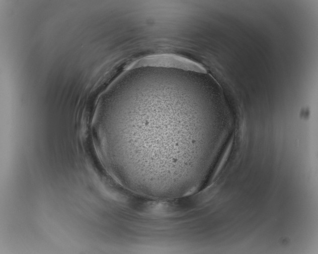 X0000113610074200910021814