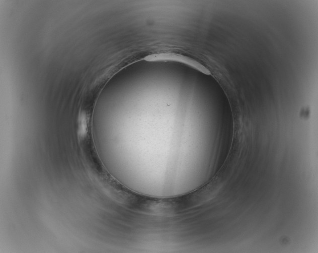 X0000113610075200910021814