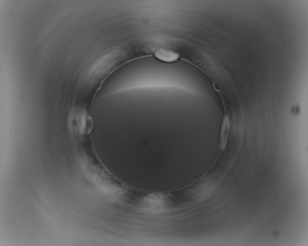 X0000113610076200910021814