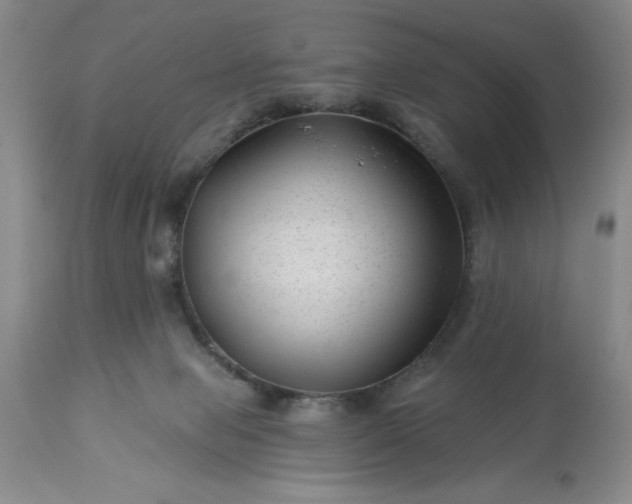 X0000113610077200910021814