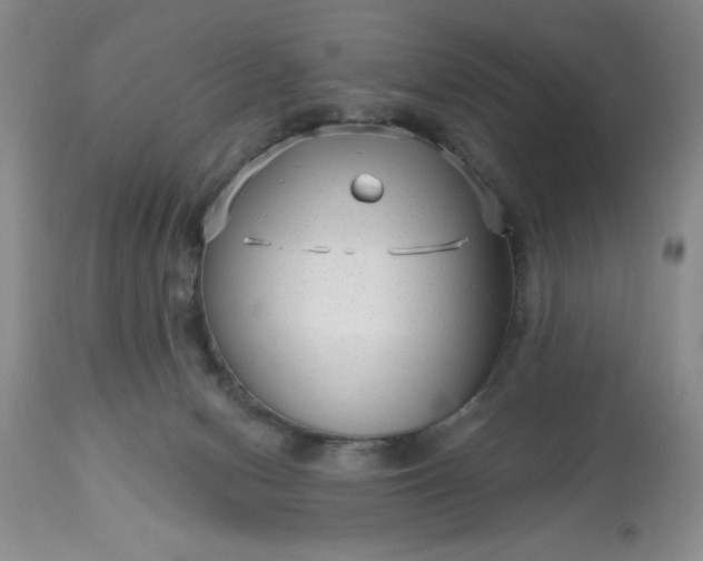 X0000113610078200910021814