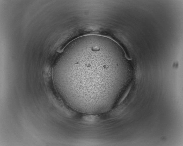 X0000113610079200910021814