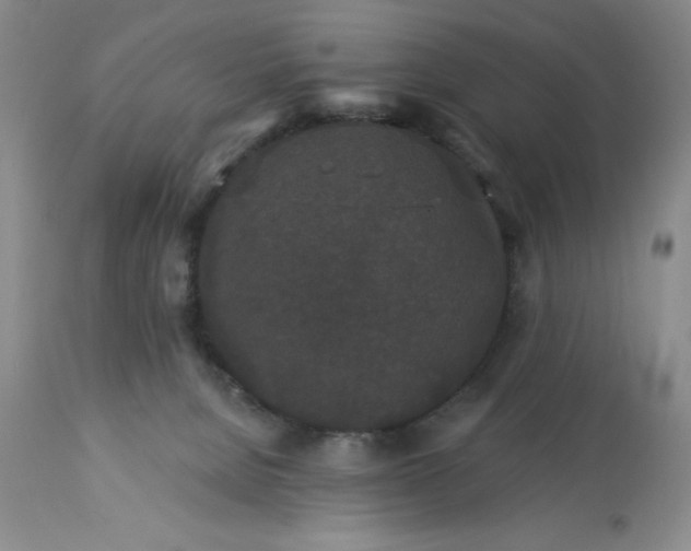 X0000113610080200910021814