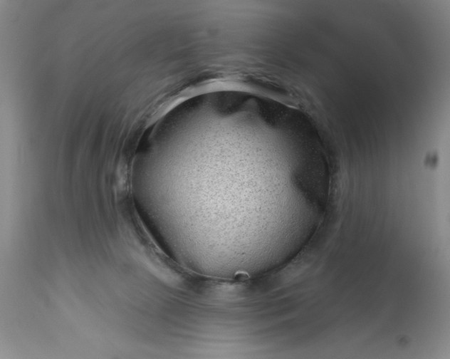 X0000113610081200910021814