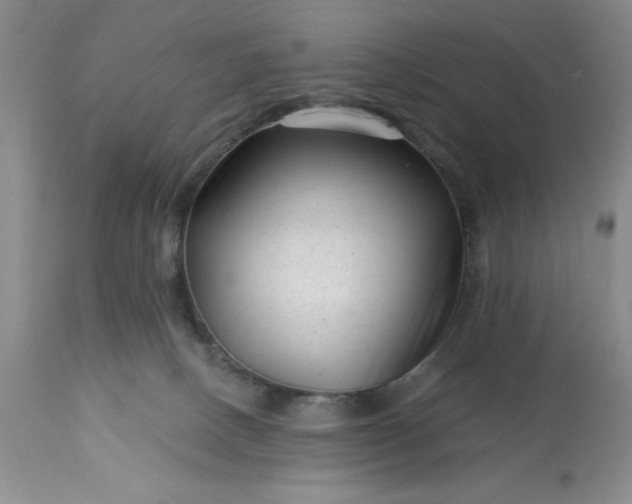 X0000113610082200910021814