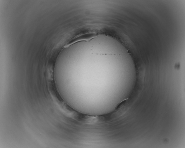 X0000113610083200910021814