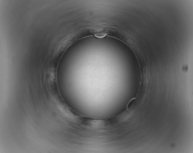 X0000113610085200910021814