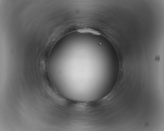 X0000113610086200910021814