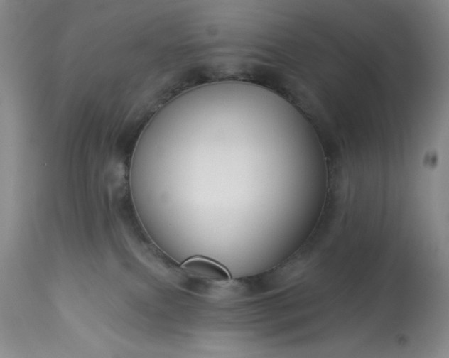 X0000113610087200910021814