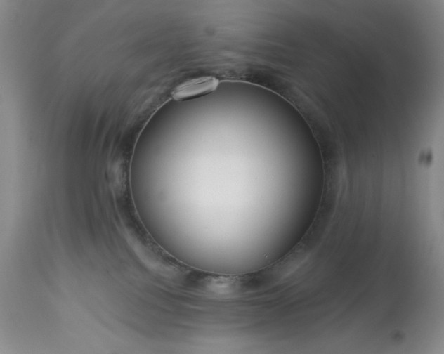 X0000113610088200910021814