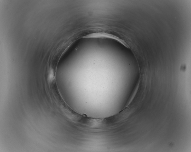 X0000113610089200910021814