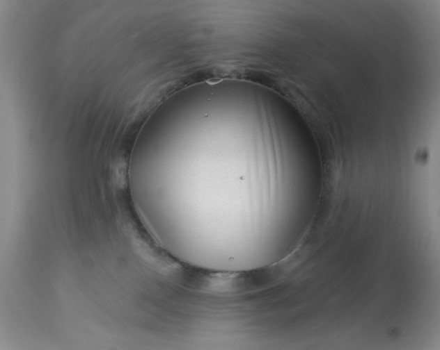 X0000113610090200910021814