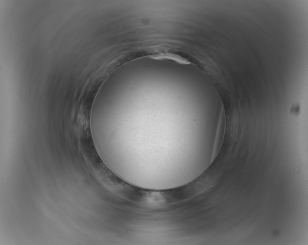 X0000113610091200910021814