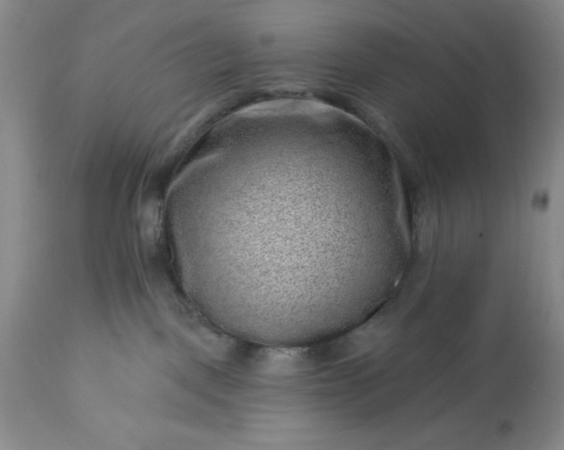 X0000113610093200910021814