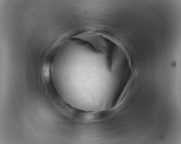 X0000113610094200910021814