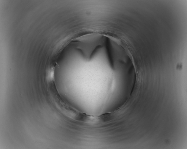 X0000113610095200910021814