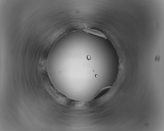 X0000113610096200910021814