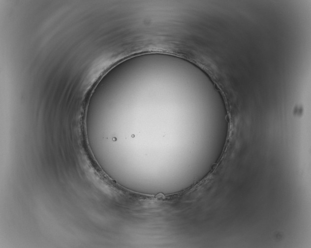 X0000113610098200910021813