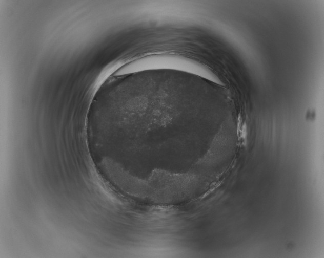 X0000113610099200910021813