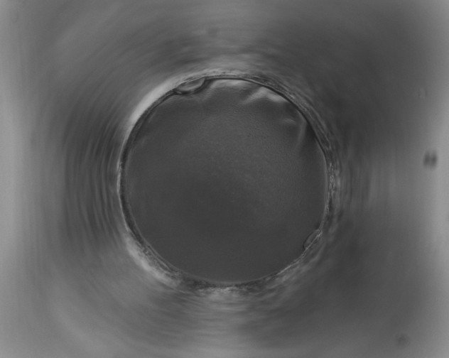 X0000113610100200910021813