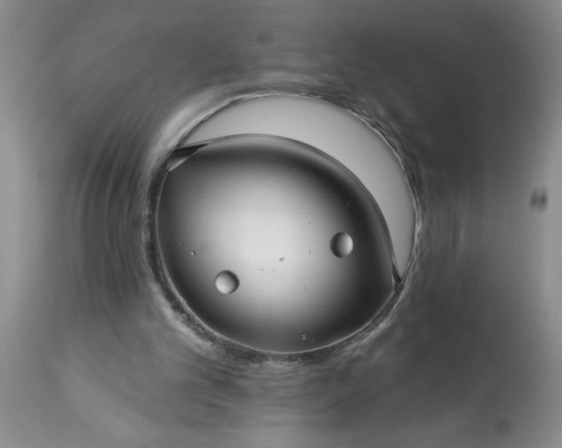 X0000113610101200910021813