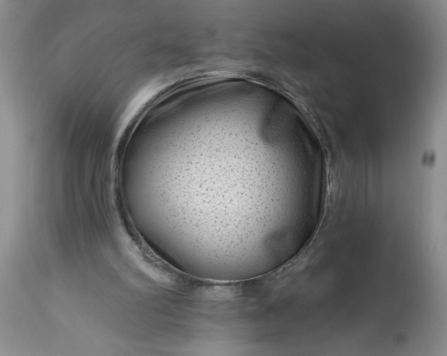 X0000113610102200910021813