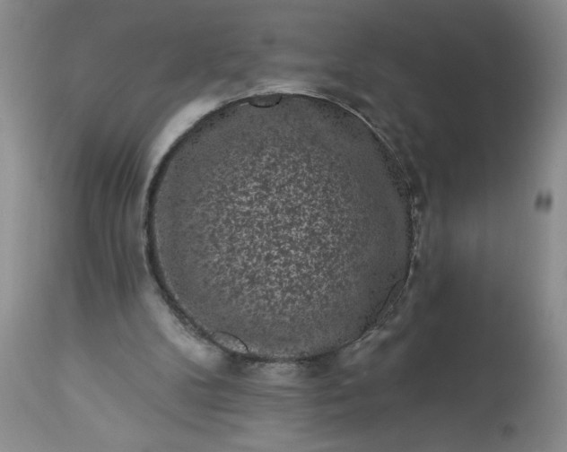 X0000113610104200910021813