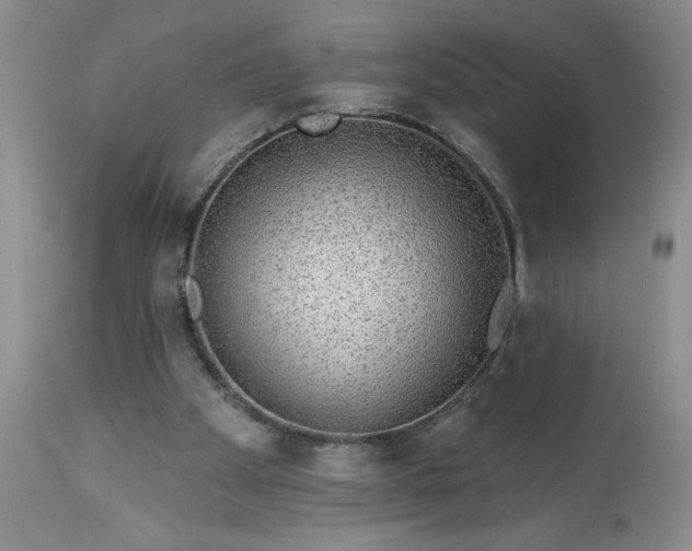 X0000113610105200910021813