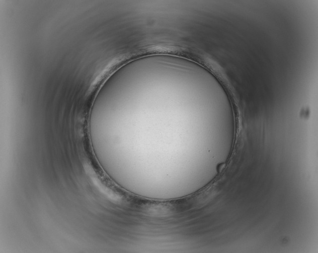 X0000113610106200910021813