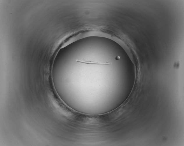 X0000113610107200910021813