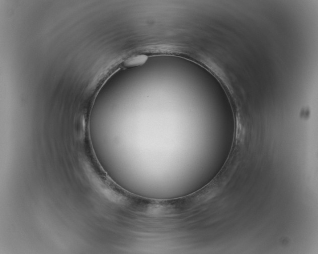 X0000113610109200910021813