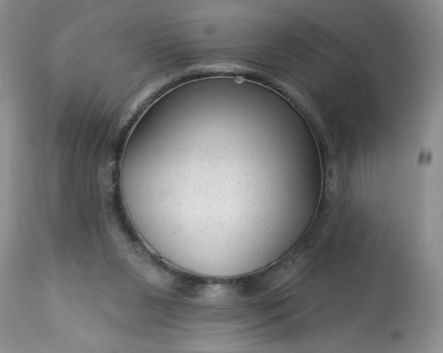 X0000113610111200910021813