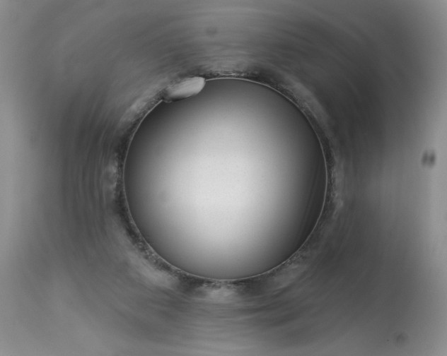 X0000113610113200910021813