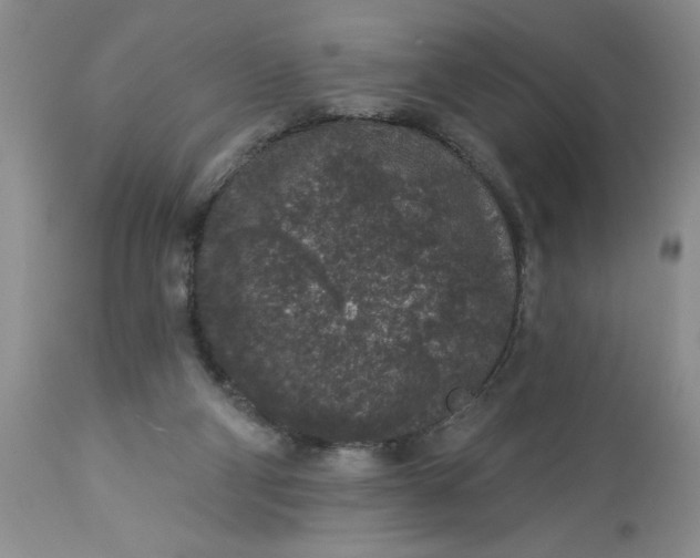 X0000113610114200910021813