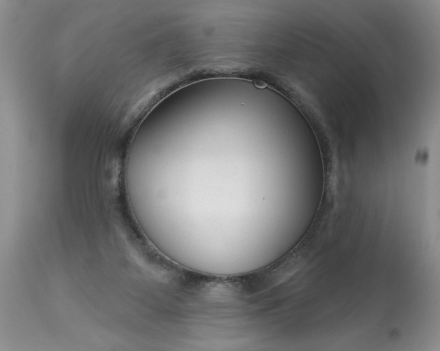 X0000113610115200910021813