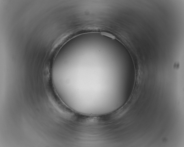 X0000113610116200910021813