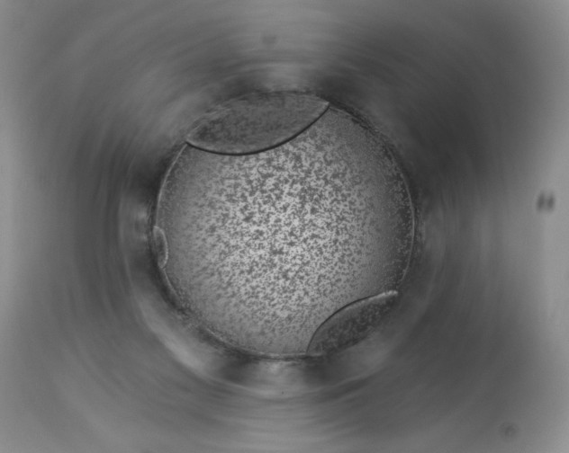 X0000113610117200910021813