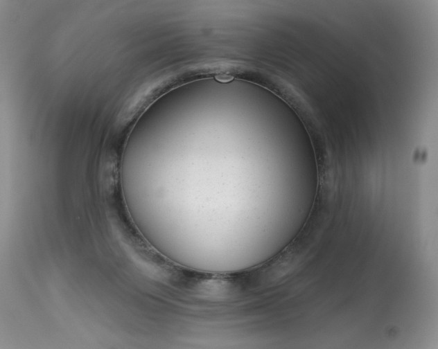 X0000113610119200910021813