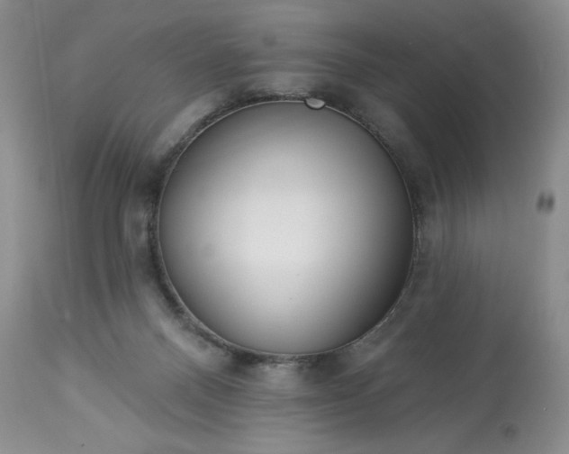 X0000113610120200910021813