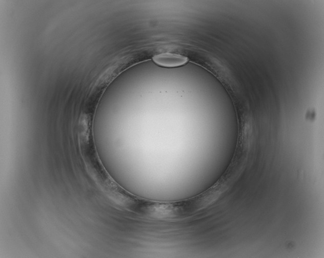 X0000113610121200910021813