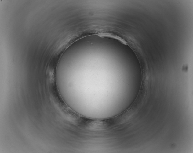 X0000113610123200910021813