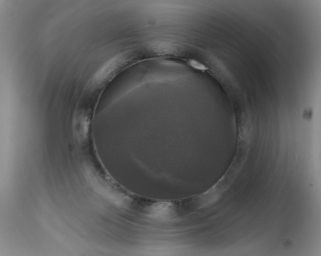 X0000113610124200910021813