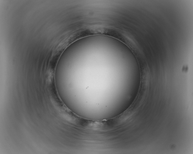 X0000113610125200910021813