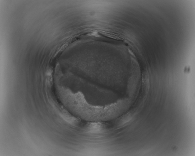 X0000113610127200910021813