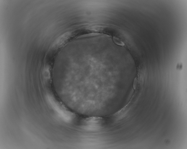 X0000113610128200910021813