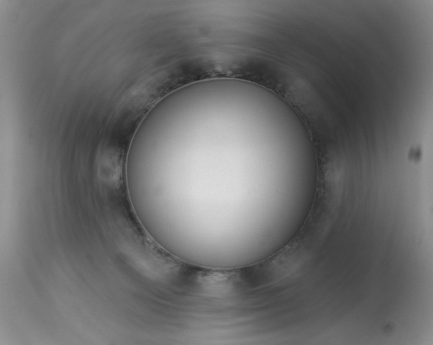 X0000113610129200910021813