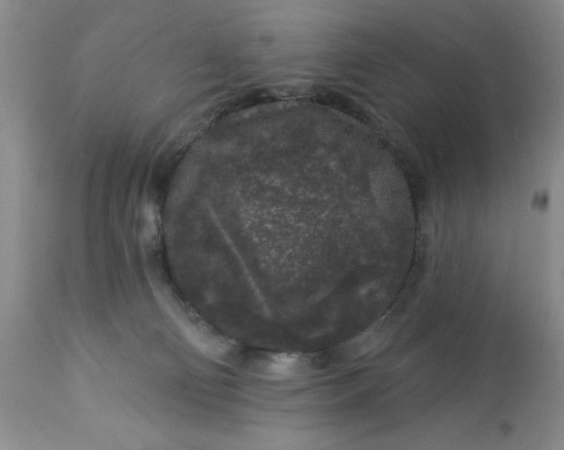 X0000113610130200910021813