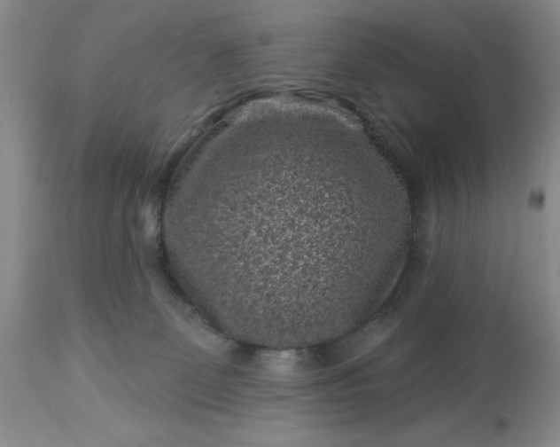 X0000113610131200910021813